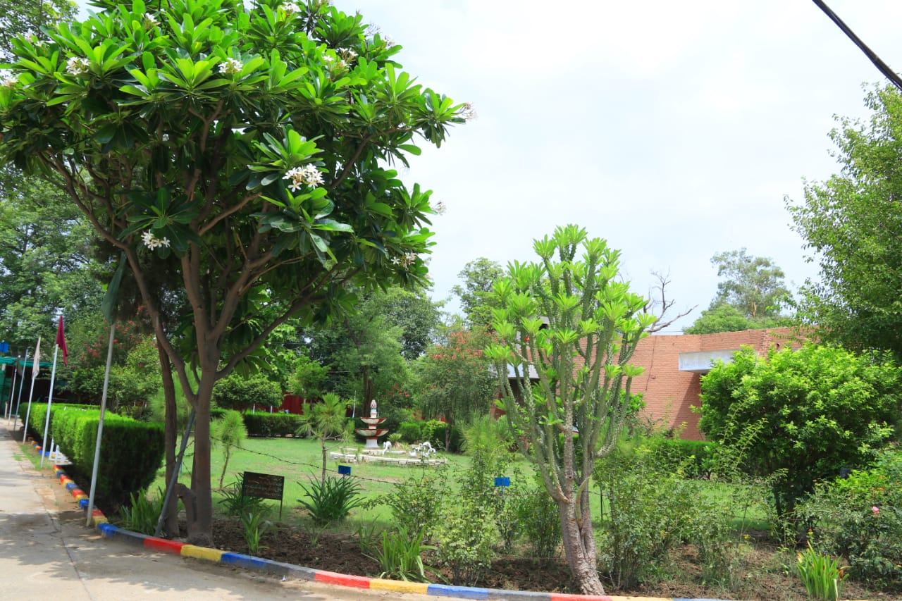 College Gallery Image